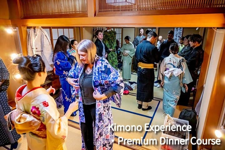 TOKYO:Traditional Geisha Show&(Japanese Dinner or tea ceremony) — photo 7