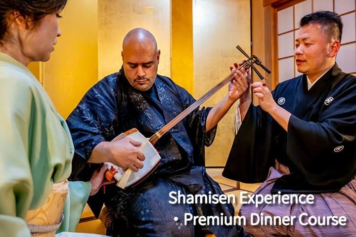 TOKYO:Traditional Geisha Show&(Japanese Dinner or tea ceremony) — photo 5