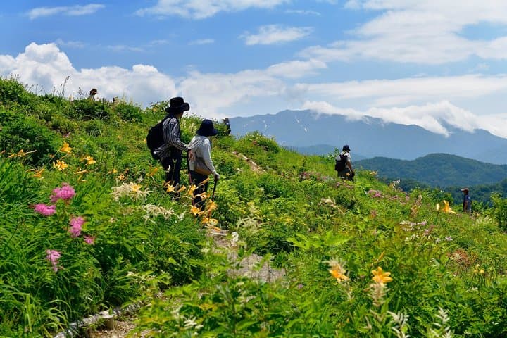 Hakusan Alpine Botanical Garden and Shiramine Bus Tour — photo 2