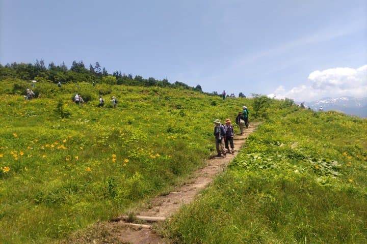 Hakusan Alpine Botanical Garden and Shiramine Bus Tour — photo 4