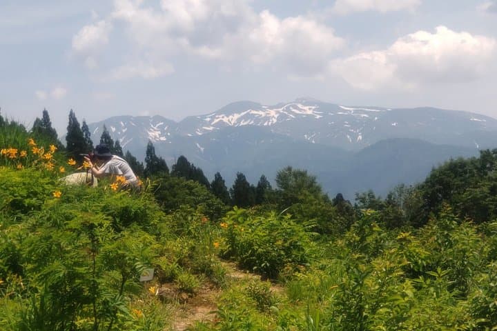 Hakusan Alpine Botanical Garden and Shiramine Bus Tour — photo 6