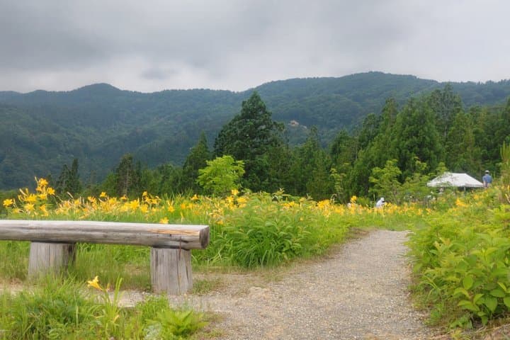Hakusan Alpine Botanical Garden and Shiramine Bus Tour — photo 7