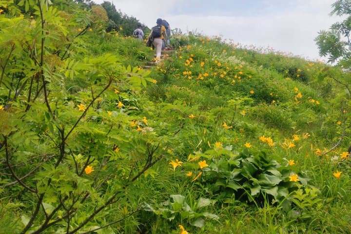 Hakusan Alpine Botanical Garden and Shiramine Bus Tour — photo 8