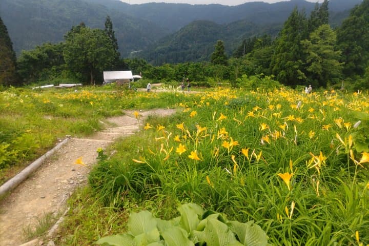 Hakusan Alpine Botanical Garden and Shiramine Bus Tour — photo 9