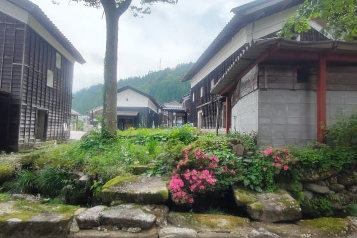 Hakusan Alpine Botanical Garden and Shiramine Bus Tour — photo 12