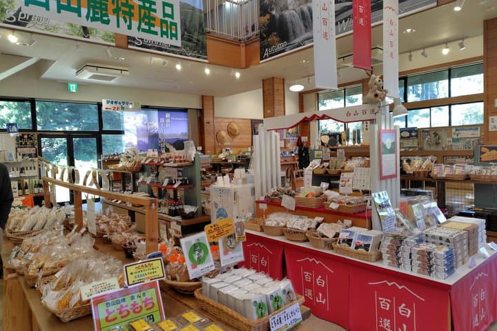 Hakusan Alpine Botanical Garden and Shiramine Bus Tour — photo 15