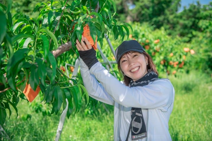 Private Peach Farm Tour with Guide: Picking or Scenic Walk — photo 7
