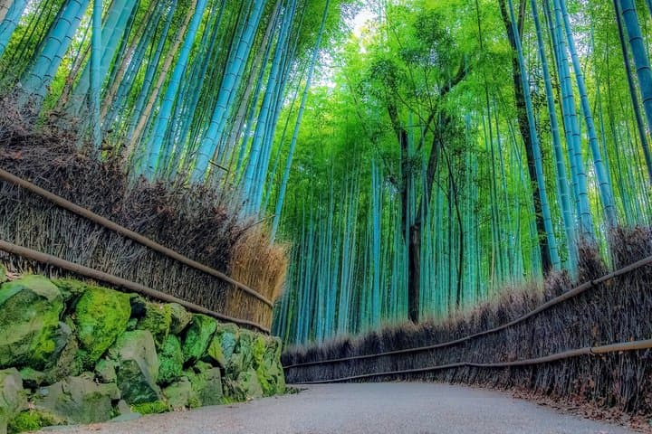 1 Day Kyoto Customized Private Tour — photo 4