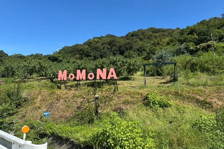 Private Peach Farm Tour with Guide: Picking or Scenic Walk — photo 13