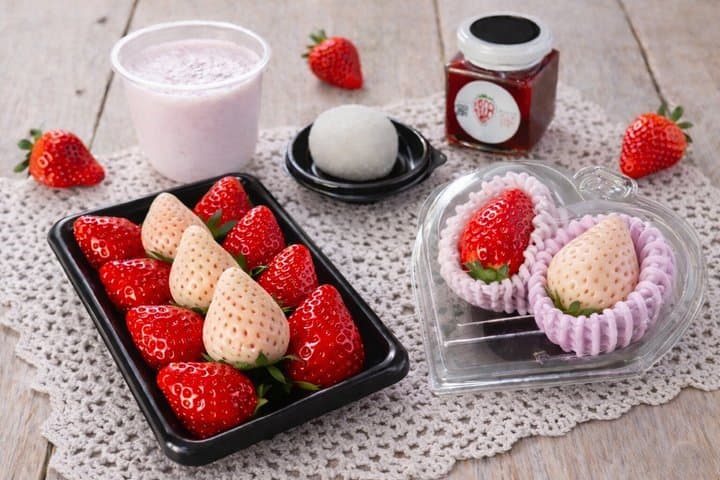 Premium Strawberry & Tokyo City Cruise on Open-Top Bus — photo 3