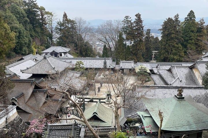 Nara Ikoma Hozanji Temple Small Group Walk and Cable Car Sky View — photo 4