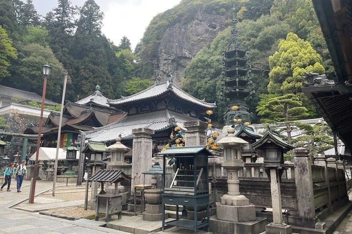 Nara Ikoma Hozanji Temple Small Group Walk and Cable Car Sky View — photo 6