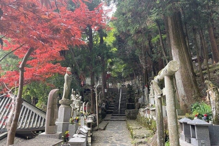 Nara Ikoma Hozanji Temple Small Group Walk and Cable Car Sky View — photo 7