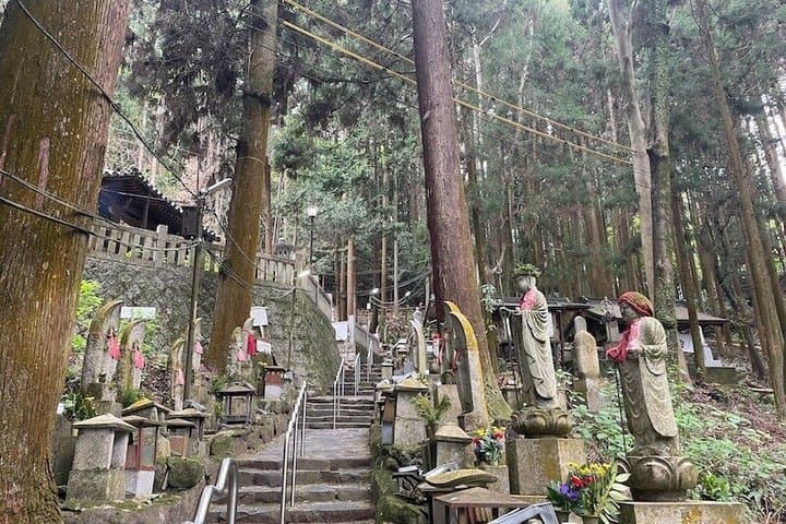 Nara Ikoma Hozanji Temple Small Group Walk and Cable Car Sky View — photo 8