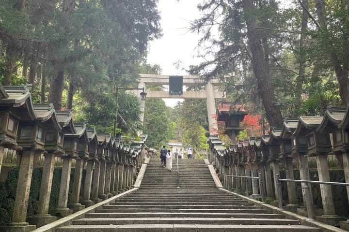 Nara Ikoma Hozanji Temple Small Group Walk and Cable Car Sky View — photo 11