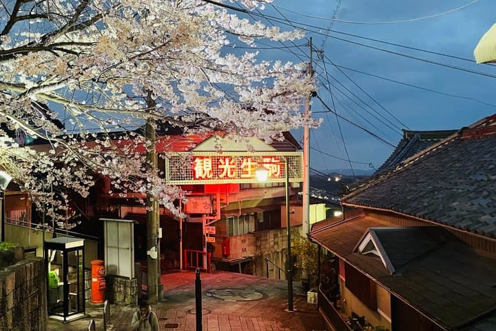 Nara Ikoma Hozanji Temple Small Group Walk and Cable Car Sky View — photo 2