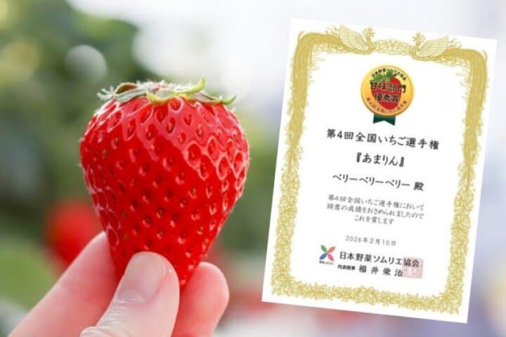 Premium Strawberry & Tokyo City Cruise on Open-Top Bus — photo 6