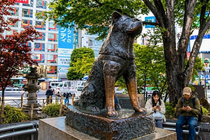 Tokyo Layover Tour with a Local – Private & Tailored to You — photo 5