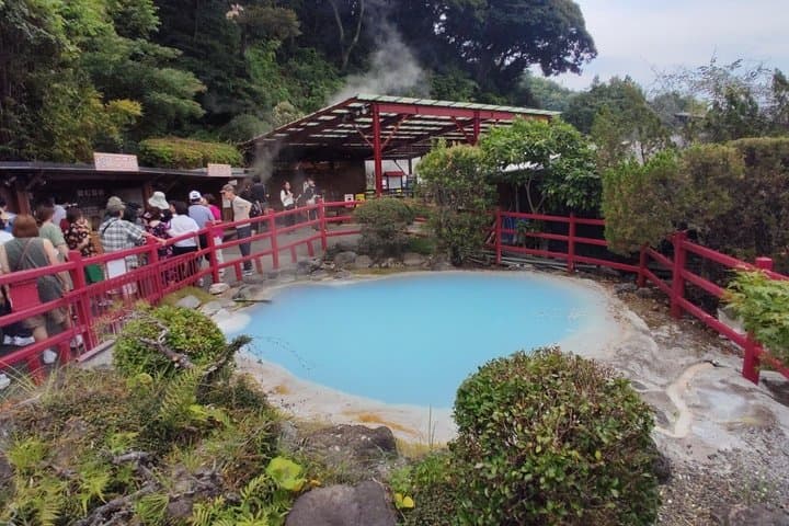 Beppu Nature and Hot Spring Nordic Walking Tour with Local Lunch — photo 8