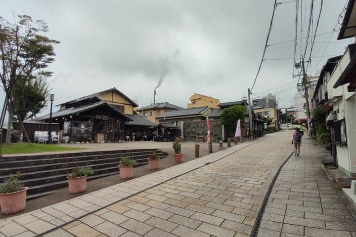 Beppu Nature and Hot Spring Nordic Walking Tour with Local Lunch — photo 12