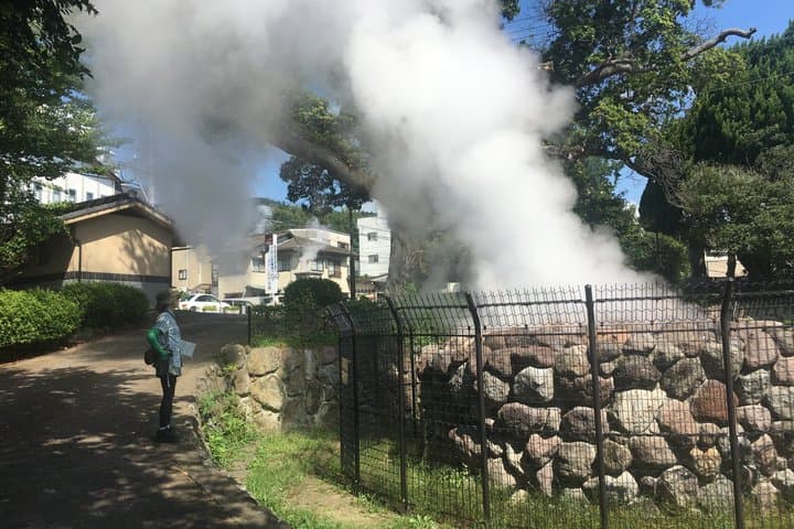 Beppu Nature and Hot Spring Nordic Walking Tour with Local Lunch — photo 11