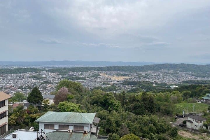 Nara Ikoma Hozanji Temple Small Group Walk and Cable Car Sky View — photo 15
