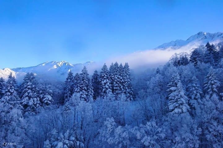 Shin-Hotaka Ropeway Snow Corridor Day Trip — photo 12