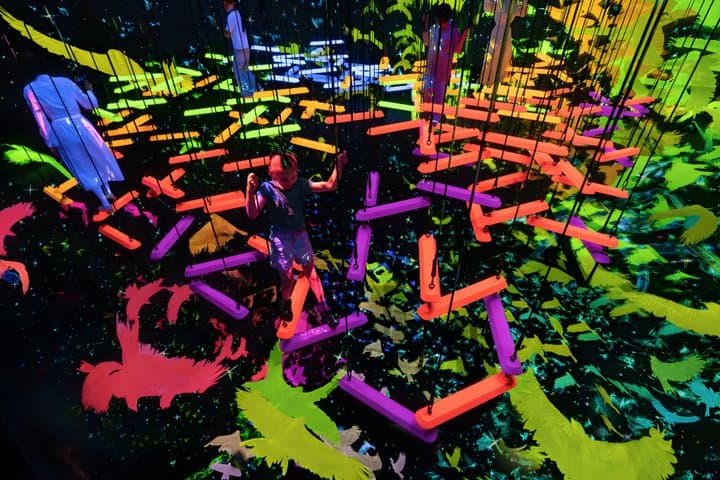 Kyoto TeamLab Biovortex Admission — photo 3