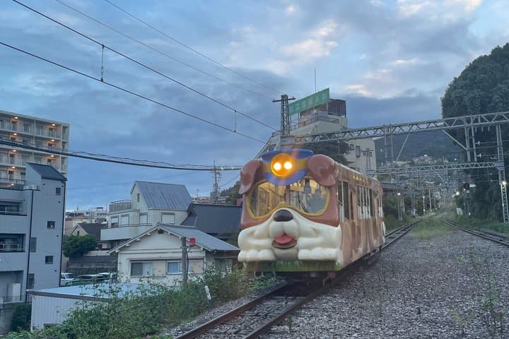 Ikoma Hozanji Temple Magical Night Walk Small Group — photo 9