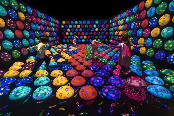 Kyoto TeamLab Biovortex Admission — photo 4