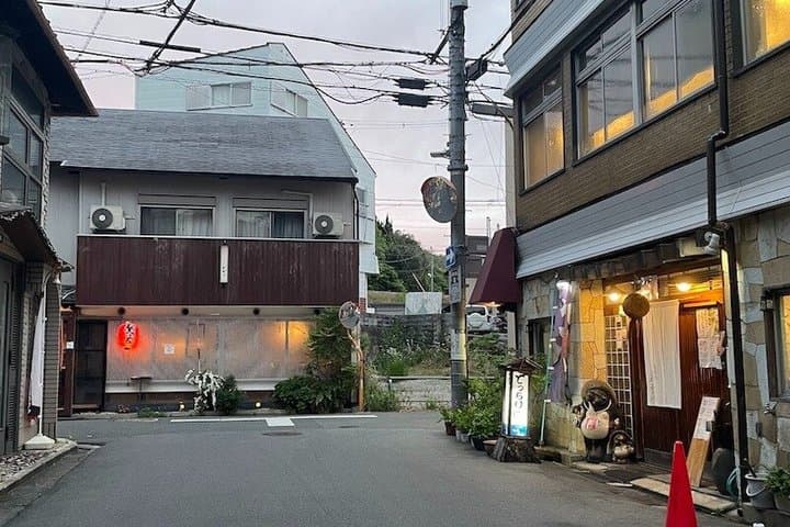 Ikoma Hozanji Temple Magical Night Walk Small Group — photo 7