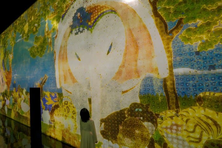 Kyoto TeamLab Biovortex Admission — photo 5