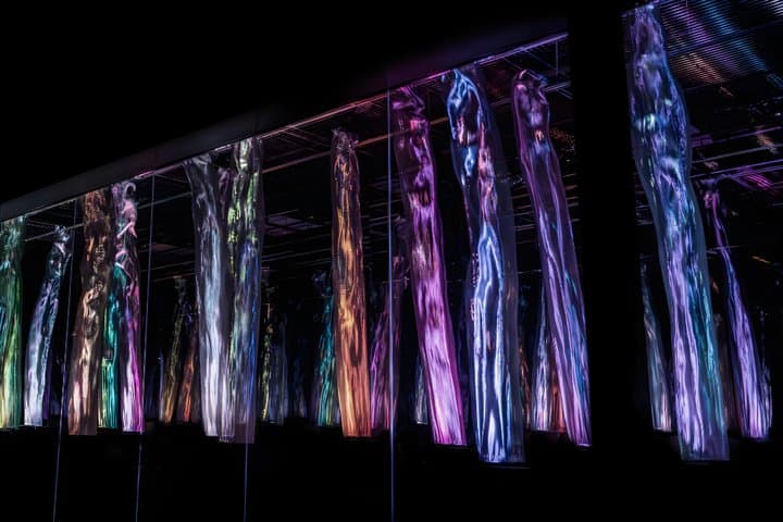 Kyoto TeamLab Biovortex Admission — photo 6