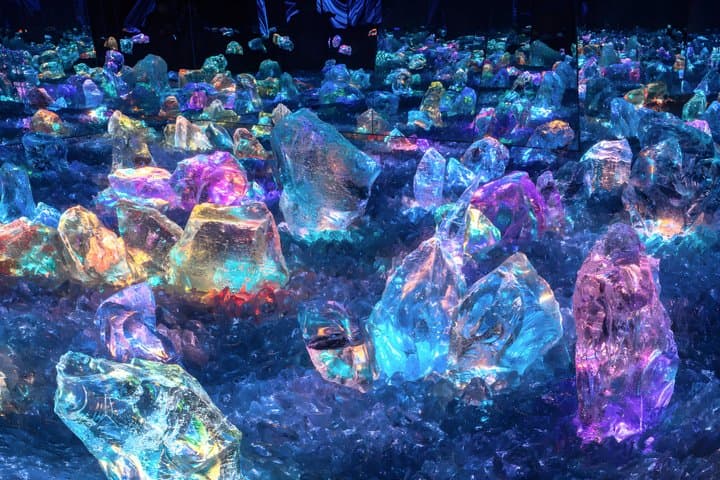Kyoto TeamLab Biovortex Admission — photo 1