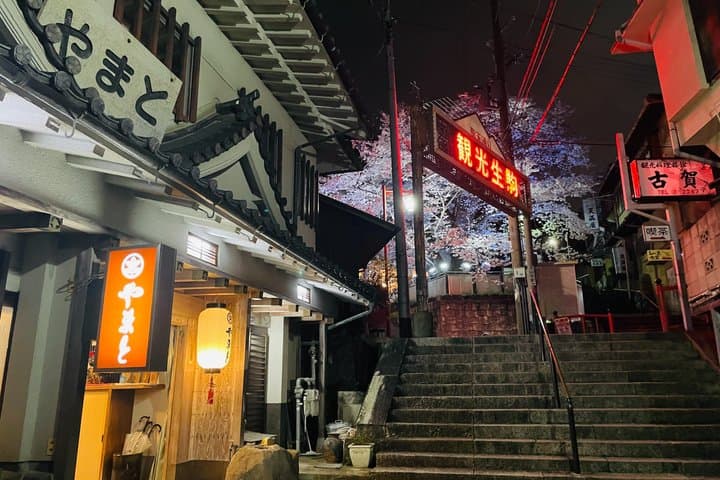 Nara Ikoma Hozanji Temple Small Group Walk and Cable Car Sky View — photo 19