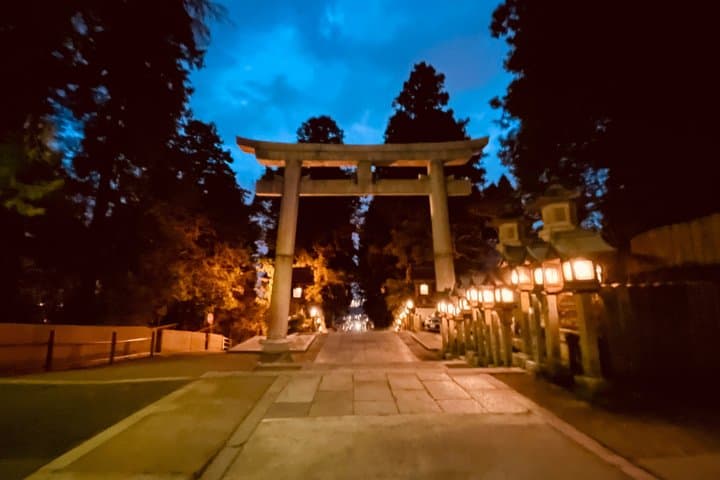 Nara Ikoma Hozanji Temple Small Group Walk and Cable Car Sky View — photo 17