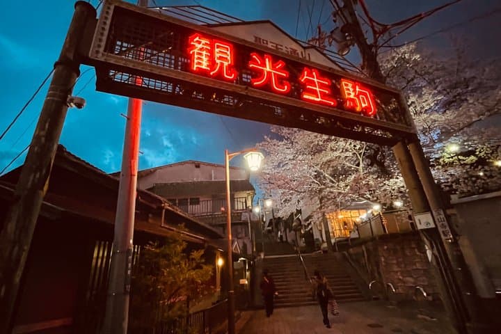 Ikoma Hozanji Temple Magical Night Walk Small Group — photo 2