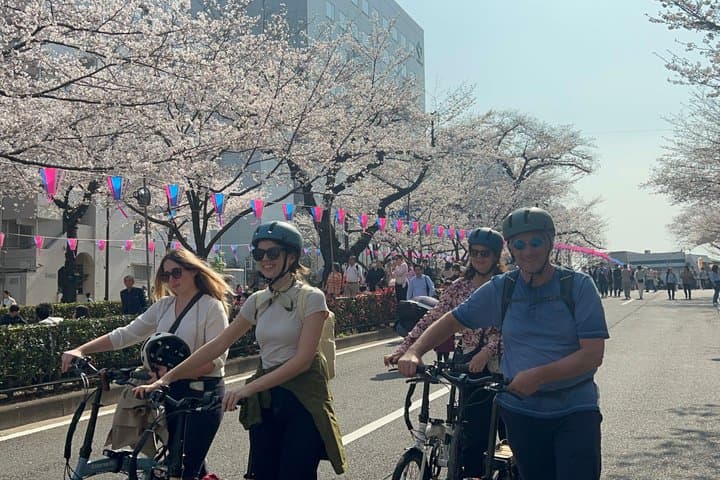 TOKYO 4hr Hidden Gardens Tour Guided by a Gardener E-bike or Walk — photo 1