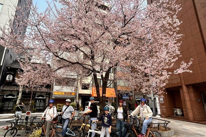 TOKYO 4hr Hidden Gardens Tour Guided by a Gardener E-bike or Walk — photo 10
