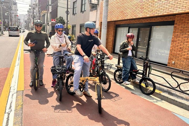 TOKYO 4hr Hidden Gardens Tour Guided by a Gardener E-bike or Walk — photo 14