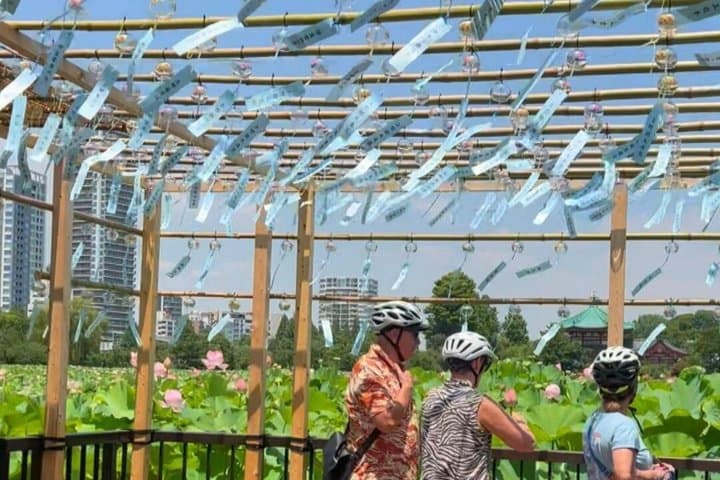 TOKYO 4hr Hidden Gardens Tour Guided by a Gardener E-bike or Walk — photo 2