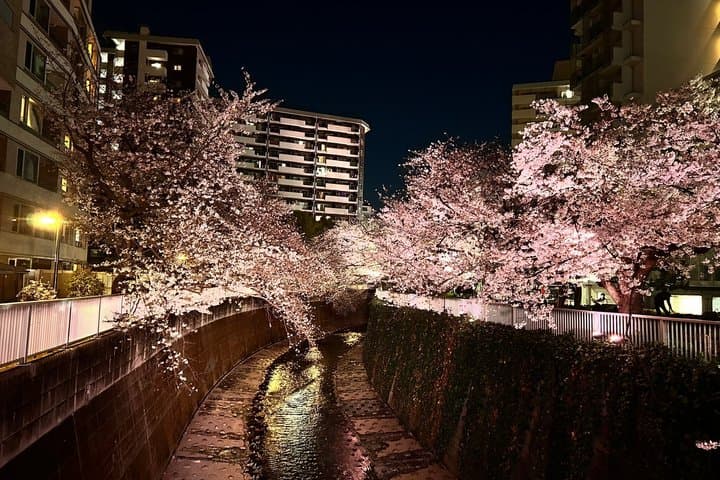 TOKYO 4hr Hidden Gardens Tour Guided by a Gardener E-bike or Walk — photo 16