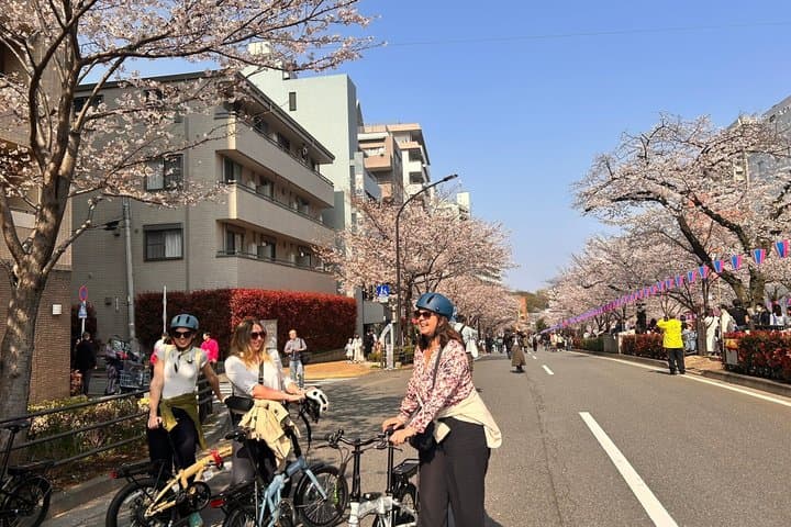 TOKYO 2hr Greenery Tour Guided by Garden Artisan E-bike or Walk — photo 4