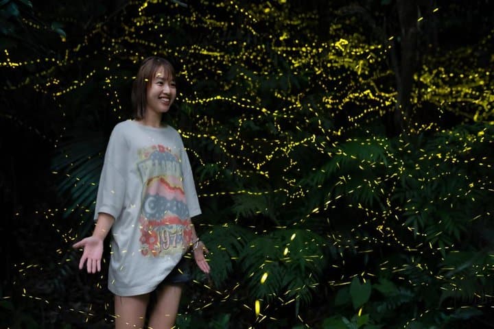 Ishigaki Sunset Limited Time Yaeyama Firefly Viewing Tour — photo 19