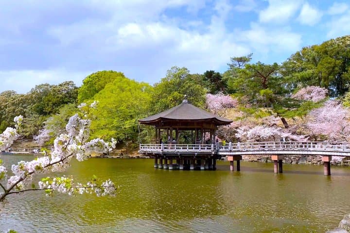Nara Day Tour: Todai-ji, Kasuga Taisha & Sacred Deer Walk — photo 12