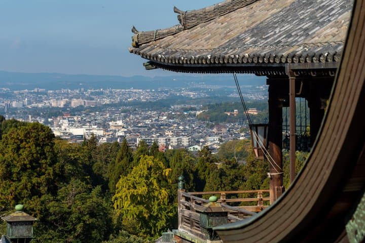 Nara Day Tour: Todai-ji, Kasuga Taisha & Sacred Deer Walk — photo 10