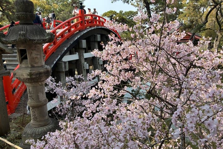 Osaka Private Custom Tour with Native Osakan — photo 3