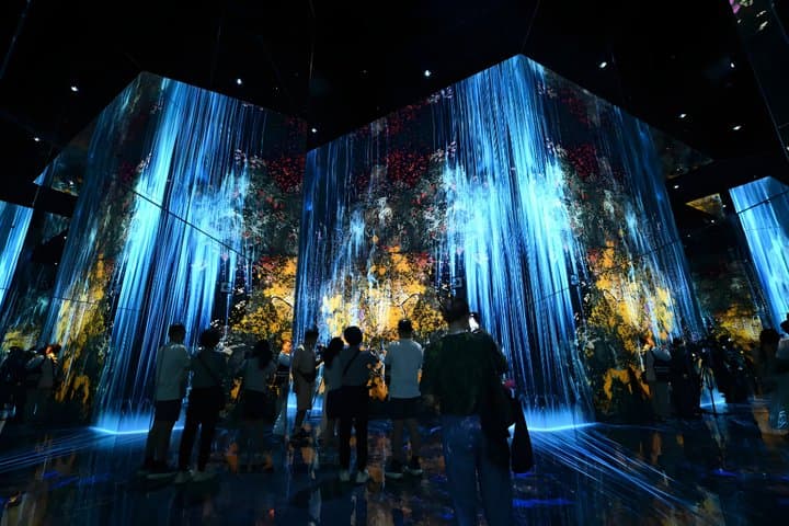 Kyoto TeamLab Biovortex Admission — photo 8