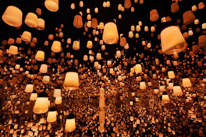 Kyoto TeamLab Biovortex Admission — photo 9
