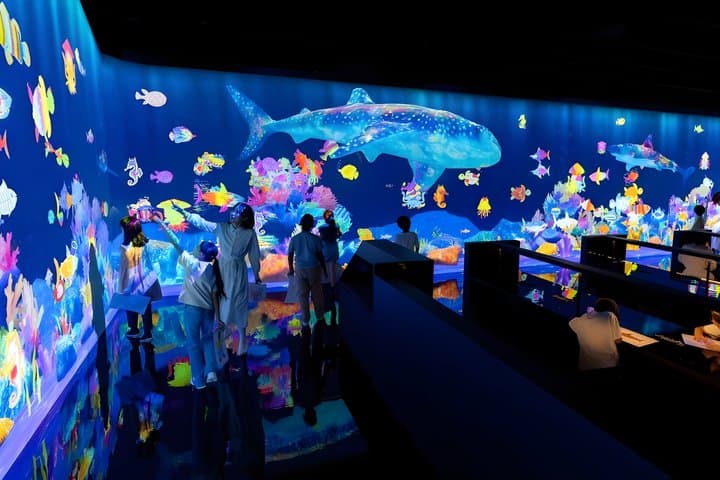 Kyoto TeamLab Biovortex Admission — photo 11